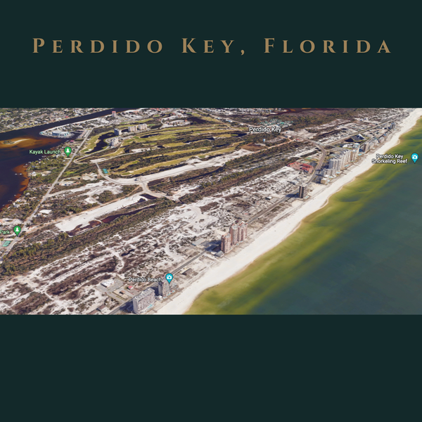 AmonRusso Team at Sotheby's International Realty Real Estate in